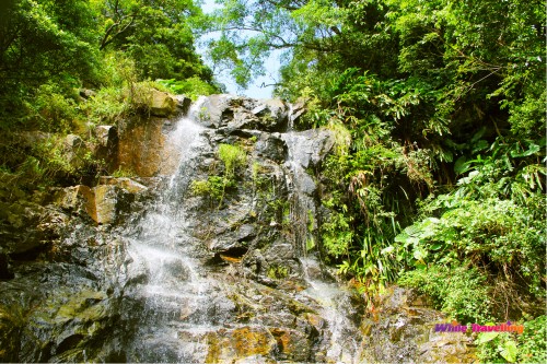 A closer look to the waterfall in Victoria Trail, Hongkong