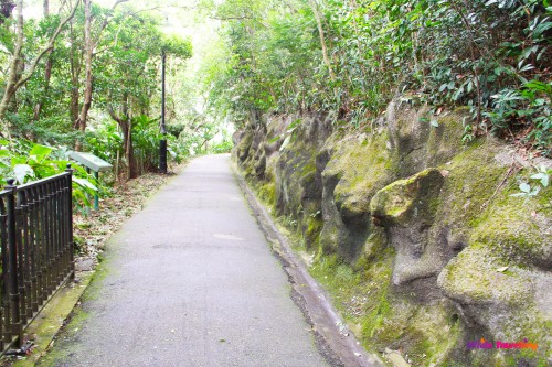 Nose formed rocks Victoria Trail, Hongkong